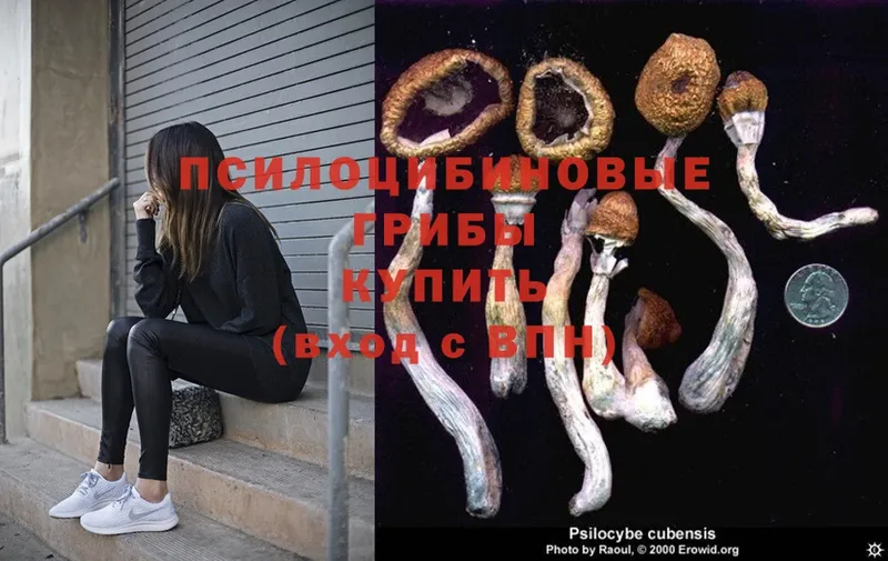 Галлюциногенные грибы MAGIC MUSHROOMS  Вязьма 